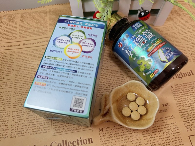 試用